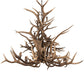 Meyda 72" Wide Antlers Elk 24 Light Chandelier- 200433 - MyBBQDirect