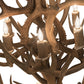 Meyda 34" Wide Antlers Mule Deer 12 LT Chandelier- 200460 - MyBBQDirect