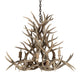 Meyda 38" Wide Antlers Mule Deer 8 Light Chandelier- 200465 - MyBBQDirect