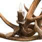 Meyda 70" Long Antlers Elk 10 Light Oblong Chandelier- 200466 - MyBBQDirect