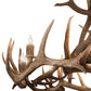 Meyda 56" Wide Antlers Elk 12 LT Chandelier- 200468 - MyBBQDirect