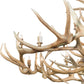 Meyda 84" Wide Antlers Elk & Mule Deer 18 Light Chandelier- 212267