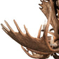 Meyda 64" Wide Antlers Moose 12 Light Chandelier- 212269