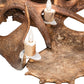 Meyda 64" Wide Antlers Moose 12 Light Chandelier- 212269