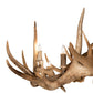 Meyda 85" Wide Antlers 12 Light Chandelier- 212271
