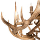 Meyda 85" Wide Antlers 12 Light Chandelier- 212271