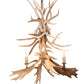 Meyda 28" Wide Antlers White Tail & Fallow Deer 4 Light Chandelier- 212272