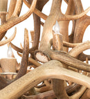 Meyda 90" Wide Antlers Elk 20 Light Chandelier- 212277