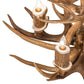 Meyda 20" Wide Antlers 6 Light Two Tier Chandelier- 240289