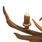 Meyda 50" Long Antlers 10 Light Oblong Chandelier- 247232