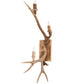 Meyda 12" Wide Antlers Elk & Mule Deer 3 Light Wall Sconce- 247843