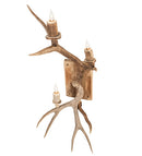 Meyda 12" Wide Antlers Elk & Mule Deer 3 Light Wall Sconce- 247843