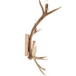 Meyda 12" Wide Antlers Elk & Mule Deer 3 Light Wall Sconce- 247843