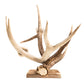 Meyda 12" Wide Antlers Elk & Mule Deer 3 Light Wall Sconce- 247843
