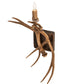 Meyda 14" Wide Antlers Elk & Mule Deer Wall Sconce- 247849
