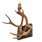 Meyda 14" Wide Antlers Elk & Mule Deer Wall Sconce- 247849