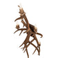 Meyda 21" Wide Antlers Elk & Mule Deer 5 Light Wall Sconce- 247860