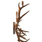 Meyda 21" Wide Antlers Elk & Mule Deer 5 Light Wall Sconce- 247860