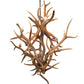 Meyda 42" Wide Antlers Elk & Mule Deer 8 Light Chandelier- 251158