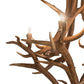 Meyda 42" Wide Antlers Elk & Mule Deer 8 Light Chandelier- 251158