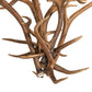 Meyda 42" Wide Antlers Elk & Mule Deer 8 Light Chandelier- 251158