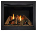Majestic Meridian Platinum direct vent gas fireplace