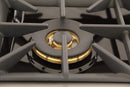 Kucht Signature 36" Gas Range in Stainless Steel with Black, Gold & Silver KNG361-K-GOLD