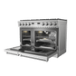 Thor Kitchen 48-Inch Contemporary Professional Natural Gas Range (ARG48)