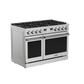 Thor Kitchen 48-Inch Contemporary Professional Natural Gas Range (ARG48)