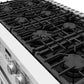 Thor Kitchen ARG48W cooktop close-up