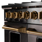 KUCHT Gemstone Professional 48-Inch 46.7 Cu. Ft. Dual Fuel Range for Natural Gas with Sealed Burners and Convection Oven in Titanium Stainless Steel KED484
