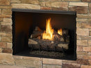 Monessen Exacta clean-face vent-free firebox