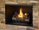 Monessen Exacta clean-face vent-free firebox
