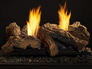 Monessen Natural Blaze see-through log set for Lo-Rider firebox