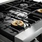 Thor Kitchen 30" Gas Range with 4.55 Cu. Ft. Self-Cleaning Oven and Tilt Panel in Stainless Steel TRG3001