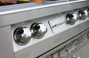 Vintage Luxury Grills 42-In. Built-In Natural Gas Grill in Stainless