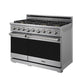 Thor Kitchen X Series 48-inch Professional Freestanding Gas Range (XRG48E)