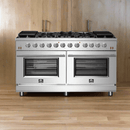FORNO Massimo 60-Inch Freestanding Gas Range in Stainless Steel - FFSGS6239-60