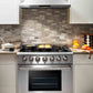 Thor Kitchen 36-Inch 5.2 cu. ft. Oven Dual Fuel Range in Stainless Steel HRD3606U