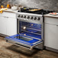 Thor Kitchen 36 in. Professional Gas Range in Stainless Steel 