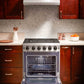 Thor Kitchen 5-Piece Appliance Package - 30-Inch Gas Range, Refrigerator with Water Dispenser, Wall Mount Hood, Dishwasher, & Microwave Drawer in Stainless Steel