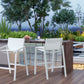 Whiteline Modern Living Rio Outdoor Barstool - BS1593