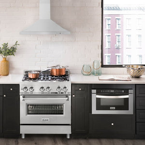 ZLINE 30" Kitchen Package with Stainless Steel Dual Fuel Range and Convertible Vent Range Hood (2KP-RARH30)