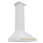 ZLINE 30" Autograph Edition Stainless Steel Range Hood with Stainless Steel Shell KB4STZ-30