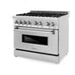 ZLINE 36" Professional Dual Fuel Range with Gas Stove and Electric Oven in Stainless Steel