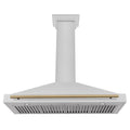 ZLINE 48" Autograph Edition DuraSnow® Stainless Steel Range Hood with DuraSnow® Stainless Steel Shell KB4SNZ-48
