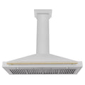 ZLINE 48" Autograph Edition DuraSnow® Stainless Steel Range Hood with DuraSnow® Stainless Steel Shell KB4SNZ-48