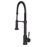 ZLINE Apollo Kitchen Faucet with Color Options