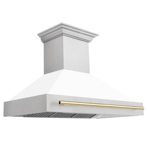 ZLINE 48 in Autograph Edition DuraSnow Stainless Steel Range Hood 8654SNZ-WM48