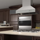 ZLINE Outdoor Island Mount Range Hood in Stainless Steel 